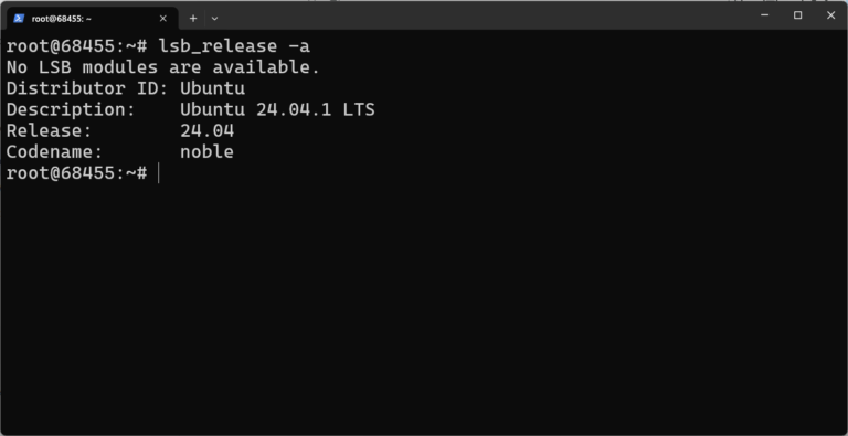 How to Check OS Version in Linux via Command Line