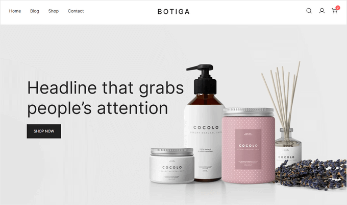 An example of a WooCommerce theme An example of a WooCommerce theme