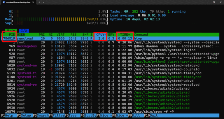 How to Check Linux CPU Usage or Utilization (5 Ways)