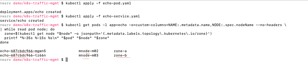 Two echo pods spin up on separate nodes
