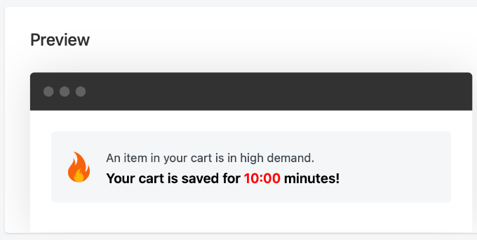 The Merchant Timer Preview Pane