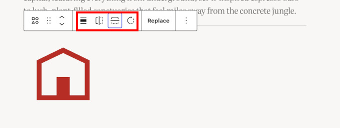 Icon block options Icon block options