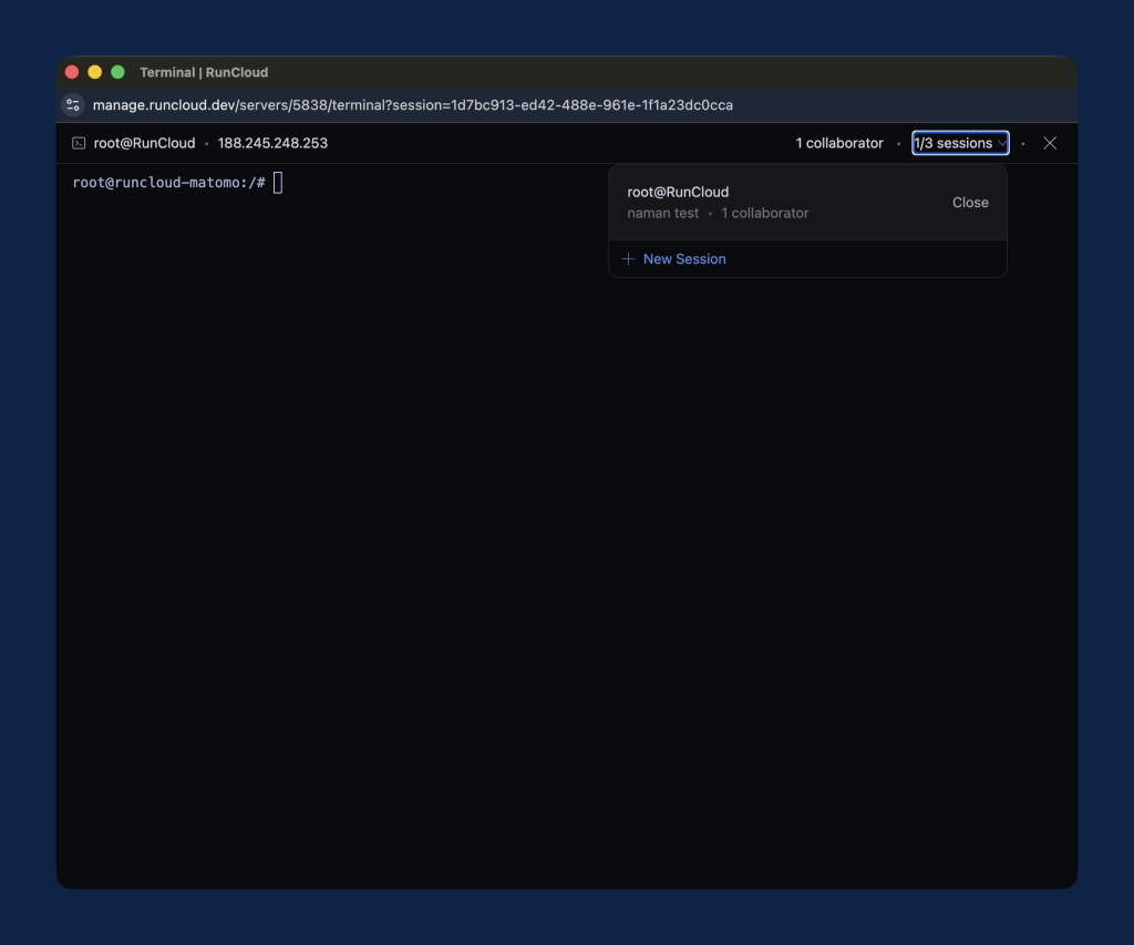 RunCloud web terminal dashboard